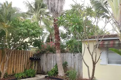 a fence in front of a house with palm trees at 4-PLEX in Fort Lauderdale