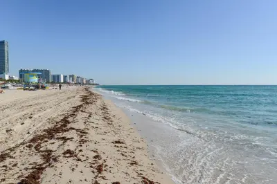 a beach with footprints in the sand and the ocean at Decoplage Paradise - Unit A in Miami Beach