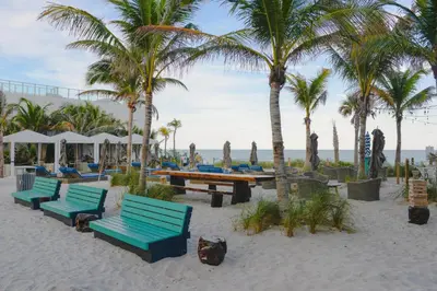 a group of benches on the beach with palm trees at Iconic Ocean View - in this Stunning Condo in Hollywood