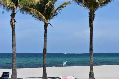 a group of palm trees on a beach with the ocean at Oceanfront Studio with Beach Pool & Restaurants 010B in Hallandale Beach