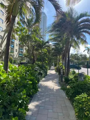 a walkway with palm trees and a building at Modern Beach Studio, 2 Full Beds, Prime Location in Hallandale Beach